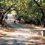 Howarth Park