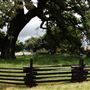 Jack London State Historic Park (SHP)