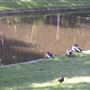 Julliard Park