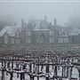 Ledson Winery