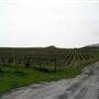 Tom Scott Ranch