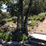 Sonoma Mountain Vista Estate