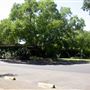 Santa Rosa Junior College - SRJC