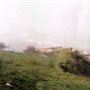 Stump Beach @ (Salt Point State Park)