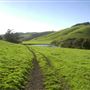 Tresch Dairy