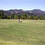 Wine Country Polo Club / Santa Rosa Polo Club