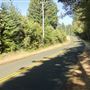 Greenwood Road