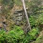 Little River Blowhole Trail
