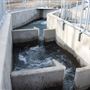 Coleman National Fish Hatchery