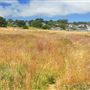 Mendocino Headlands State Park (SP)