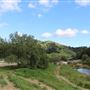 Willow Creek Ranch