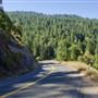 Mountain View Road