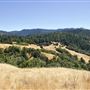 Mountain View Road
