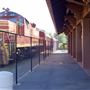 Willits