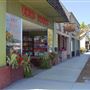 Willits