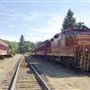 Willits Skunk Train Depot