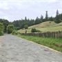Orr Springs Road