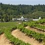 Francis Ford Coppola Winery