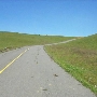 Cougar Mountain Drive