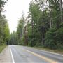 Simpson Lane - Rural County Road