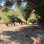 Placerita Canyon State Park (SP) / Placerita Canyon Natural Area / Placerita Nature Center