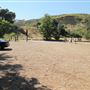 Placerita Canyon State Park (SP) / Placerita Canyon Natural Area / Placerita Nature Center