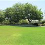 South Coast Botanic Garden