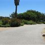 South Coast Botanic Garden