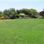 South Coast Botanic Garden