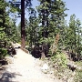 D.L. Bliss State Park (SP)