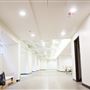 Dream Suite 220 - Robhana Group