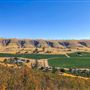 Oreana Winery & Vineyard - Fisco