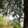 Sand Rock Farm Lodging + Events