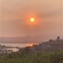 Home in the Hills of Tiburon/SF Bay Area