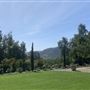 Enchanted Elfin Forest Home  on 2 private acres