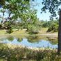R Wild Horse Ranch