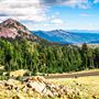 Lassen Volcanic National Park