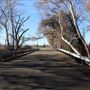 Cone Grove Park