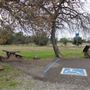 Sacramento River Bend
