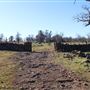 Meadowbrook Ranch
