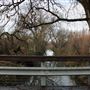Battle Creek Wildlife Area - California Department of Fish & Wildlife (CDFW)