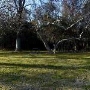Bidwell Park 5 Mile Recreation Area