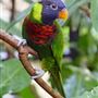 Turtle Bay Exploration Park