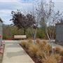 Northern California Veteran's Cemetery