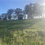 Field to Fork Farm