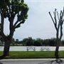 Lake Minden