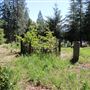 Camptonville