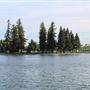 Ellis Lake
