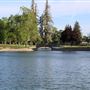Ellis Lake