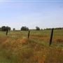 Wheatland